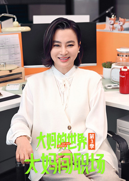 大妈的世界3：大妈闯职场