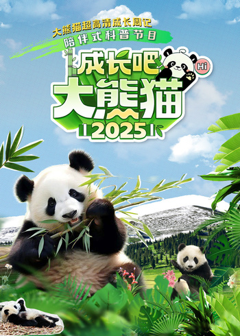 海报背景