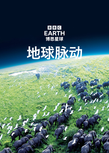 地球脉动   版封面图