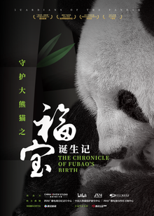 守护大熊猫之福宝诞生记海报