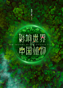 影响世界的中国植物