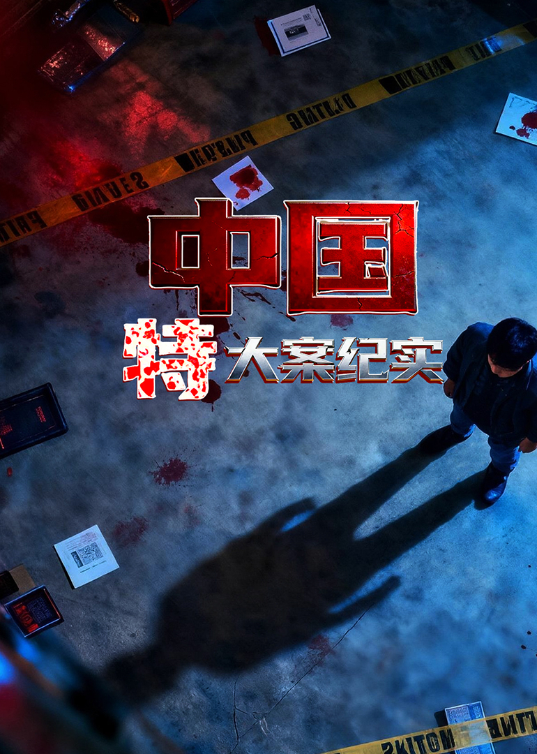 中国特大案纪实 海报
