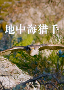 地中海猎手海报