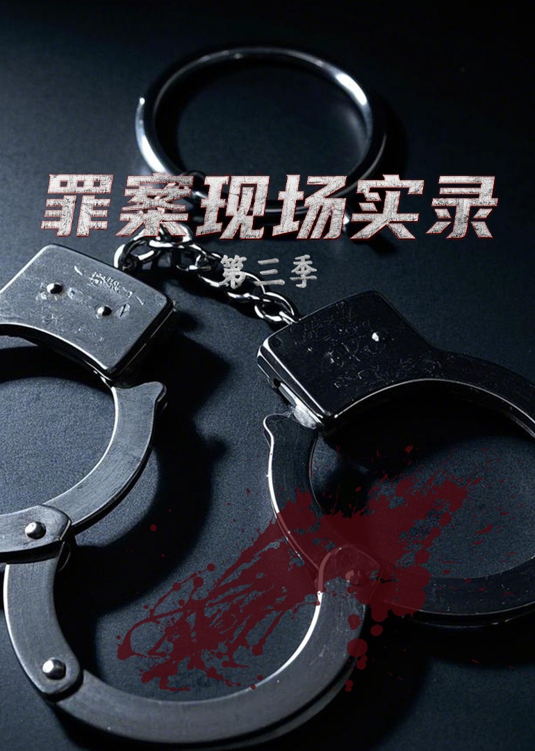 罪案现场实录 第三季