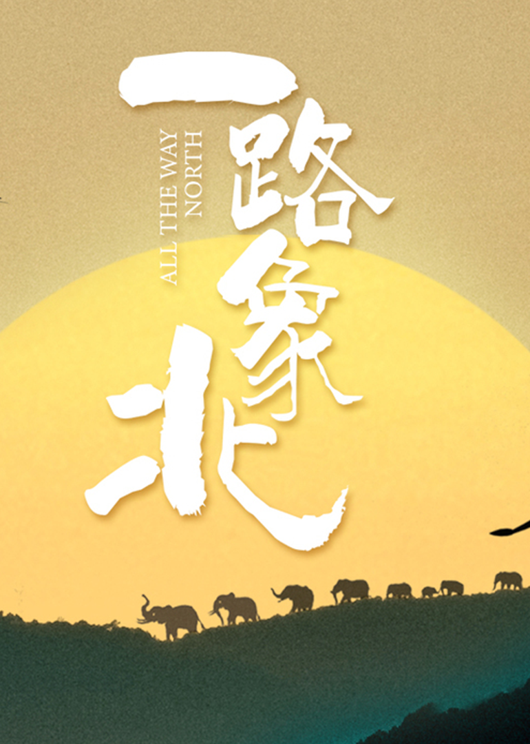 一路象北封面图