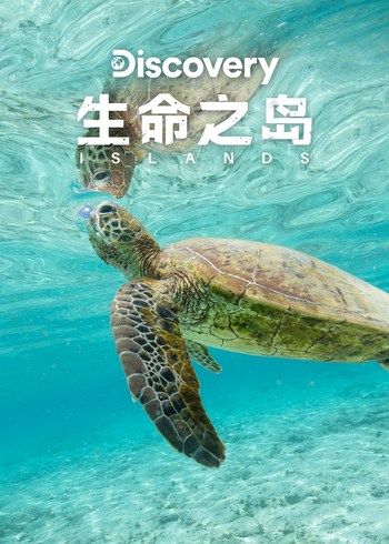 海报背景