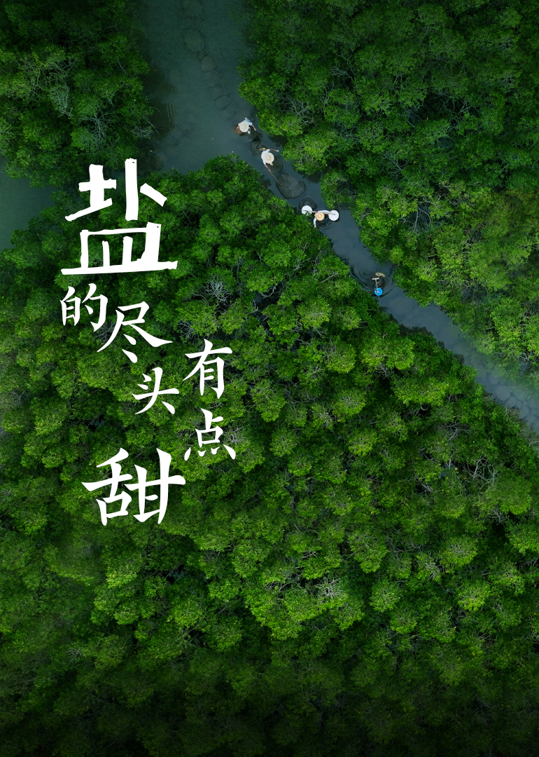 盐的尽头有点甜封面图