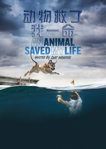 动物救了我一命封面图