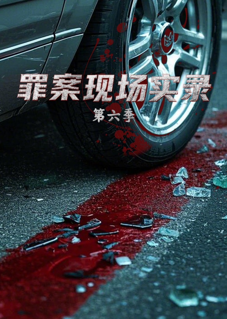 罪案现场实录 第六季-封面2