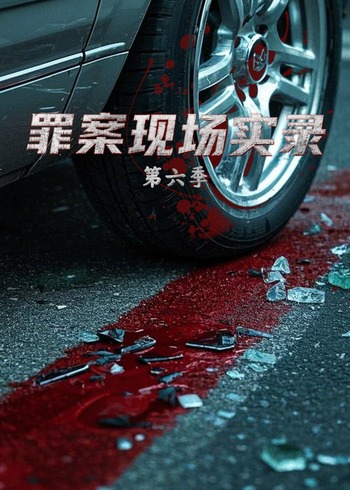 罪案现场实录 第六季