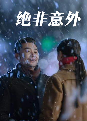绝非意外封面图