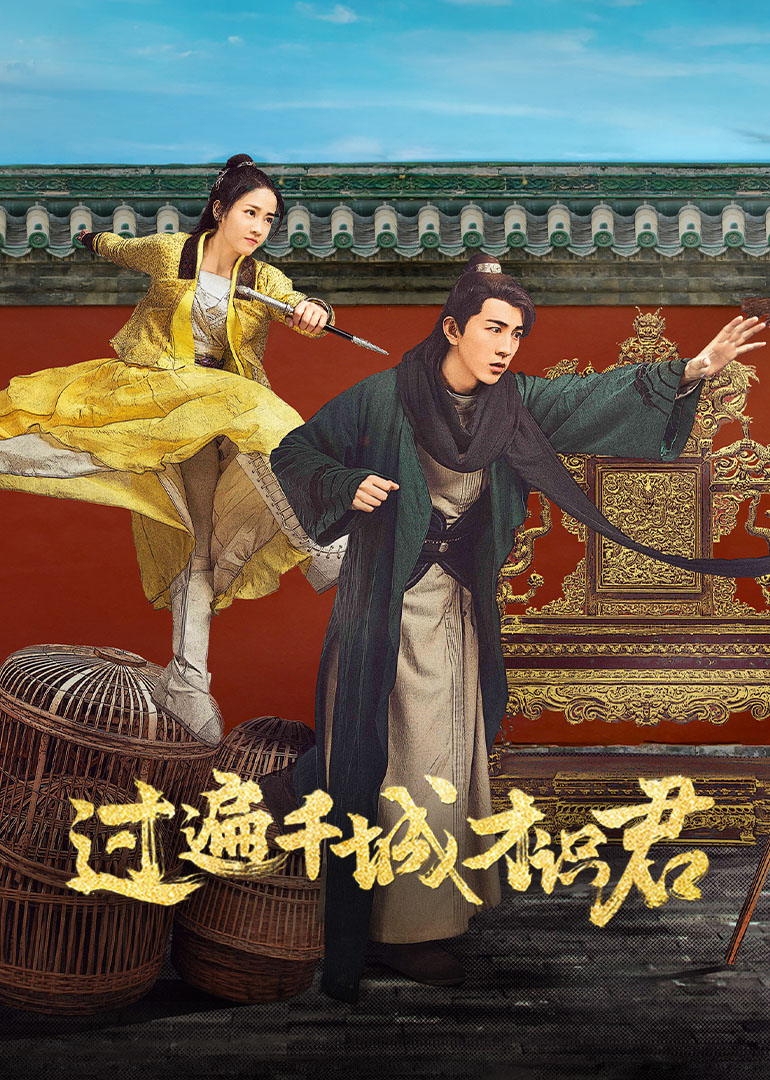 过遍千城才识君封面图