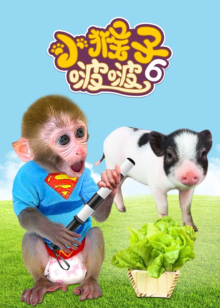 小猴子啵啵  第六季}