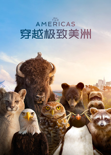 穿越极致美洲普通话版