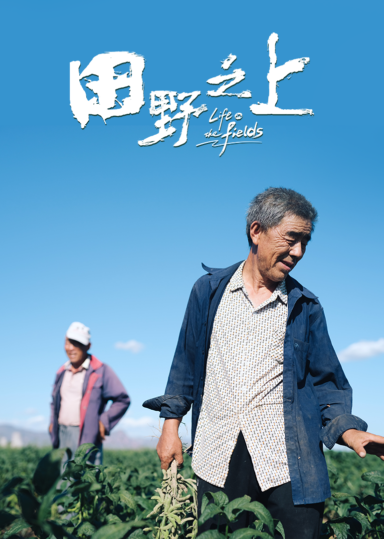 田野之上