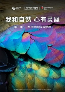 我和自然心有灵犀第三季发现中国特有物种