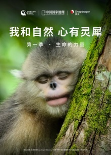 我和自然心有灵犀生命的力量