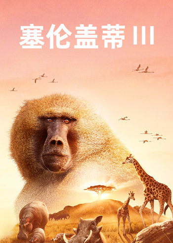 塞伦盖蒂   第三季封面图