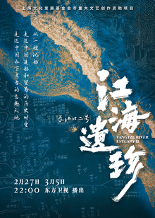 江海遗珍长江口二号海报