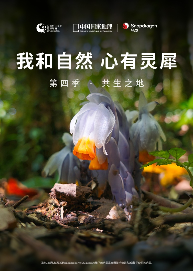 海报背景