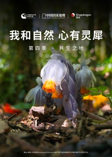 我和自然心有灵犀第四季共生之地