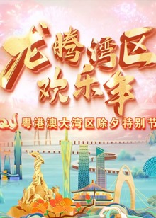 粤语版港澳大湾区除夕特别节目