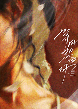 等風(fēng)熱吻你