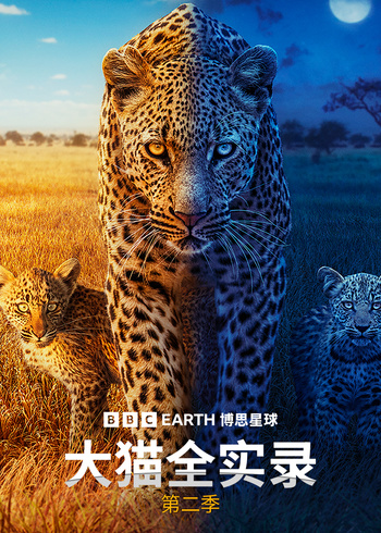 大猫全实录    第二季版封面图