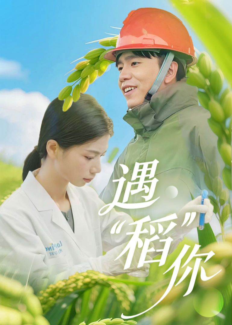 遇“稻”你封面图