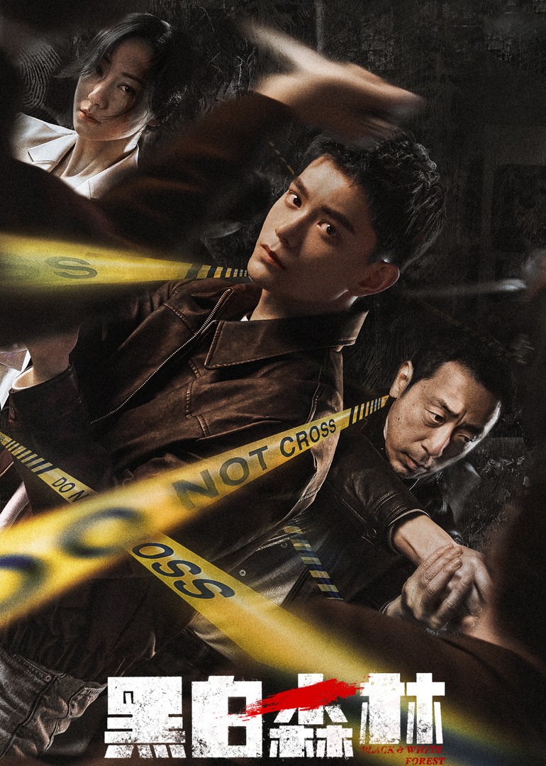 黑白森林(臻彩)