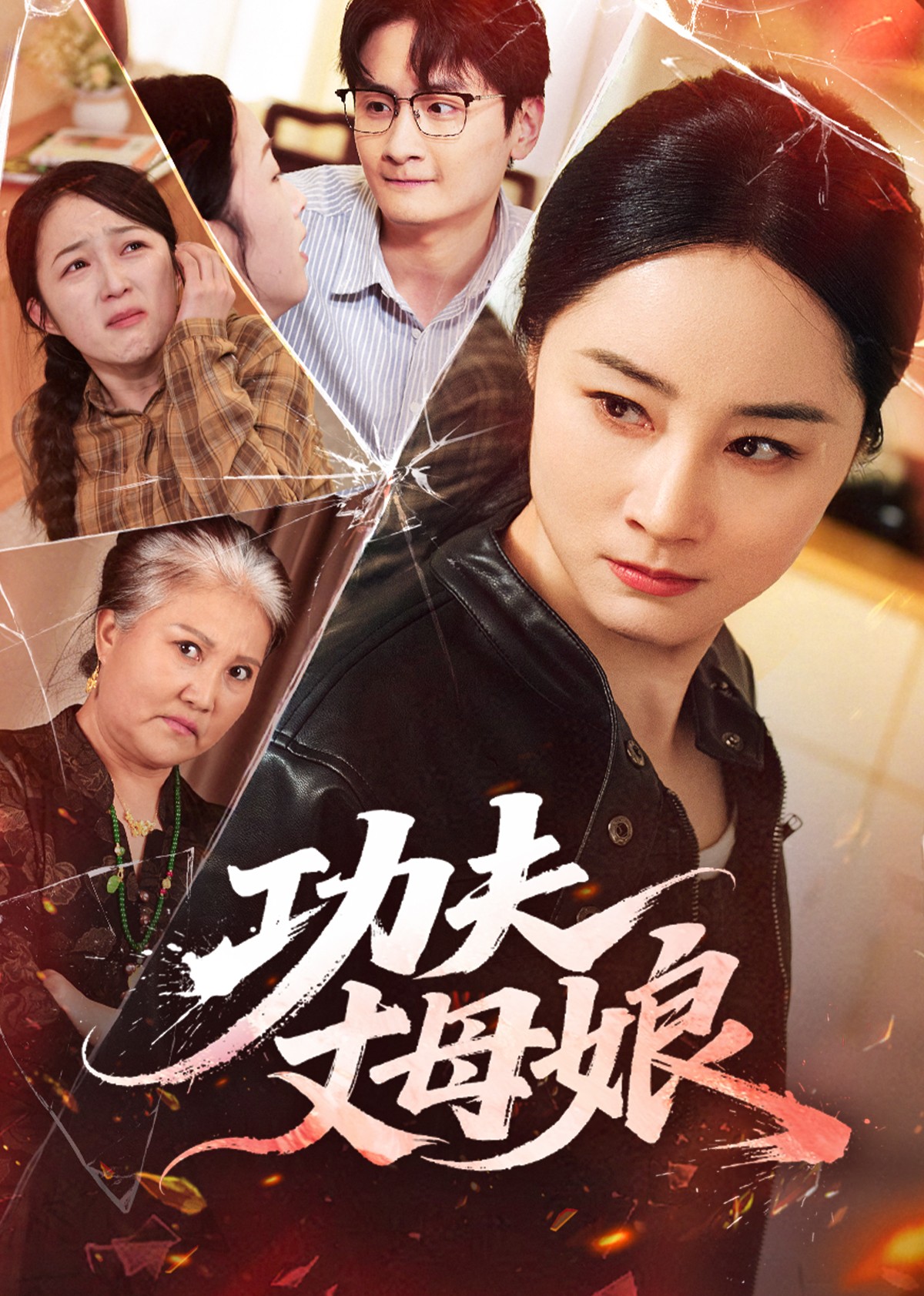 功夫丈母娘封面图