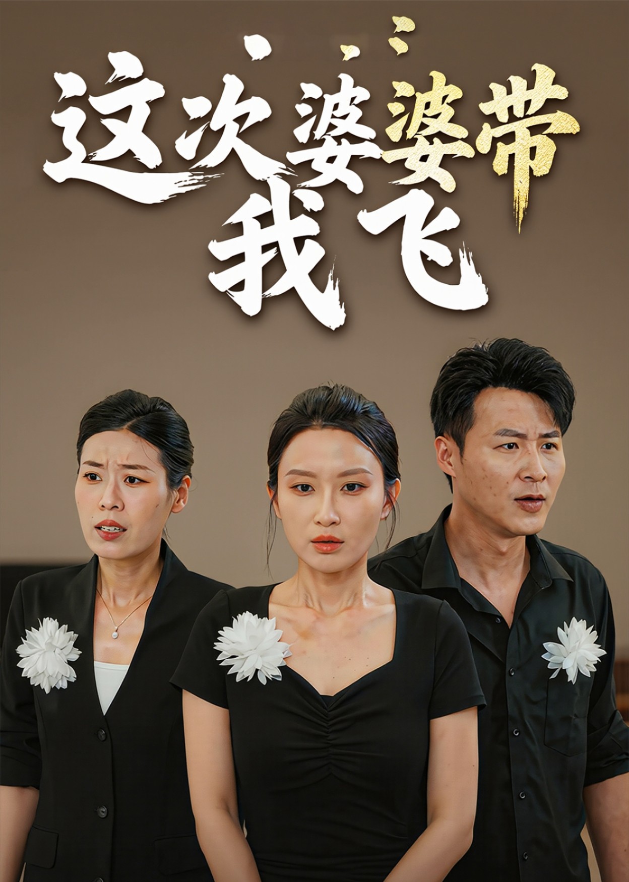 这次婆婆带我飞