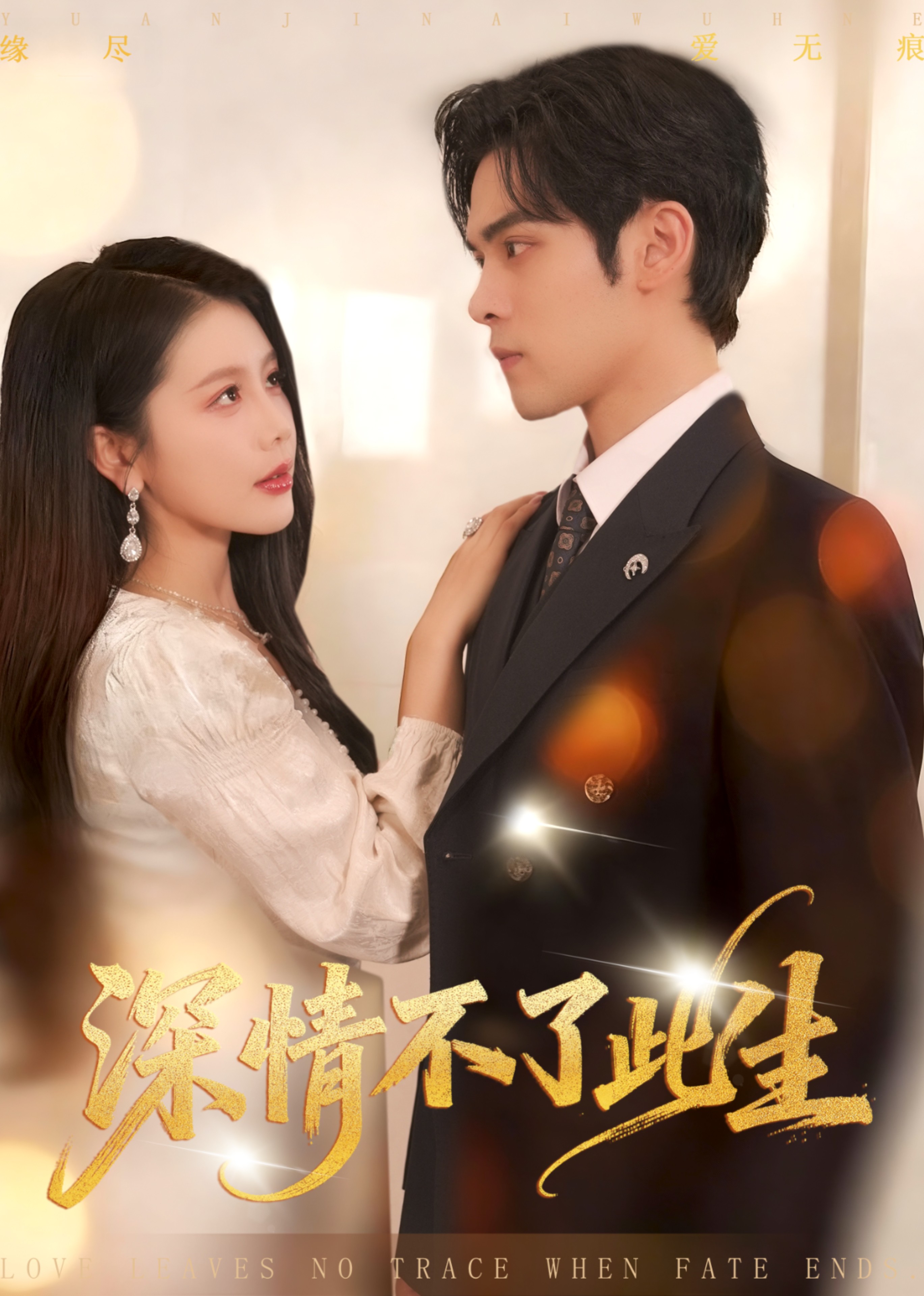 深情不了此生封面图