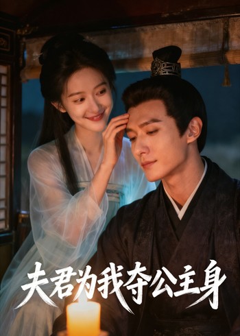 夫君为我夺公主身封面图