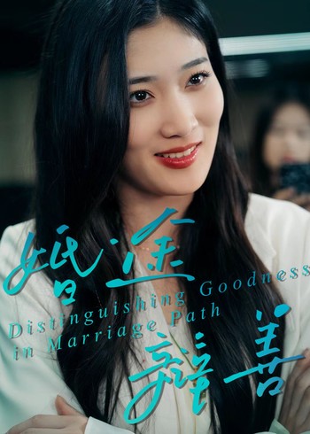 婚途辩善封面图