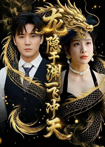 龙隐于渊一飞冲天封面图