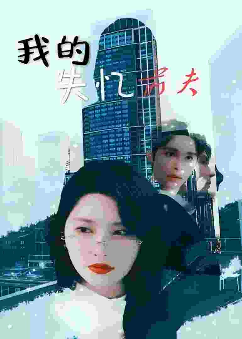 我的失忆前夫 海报