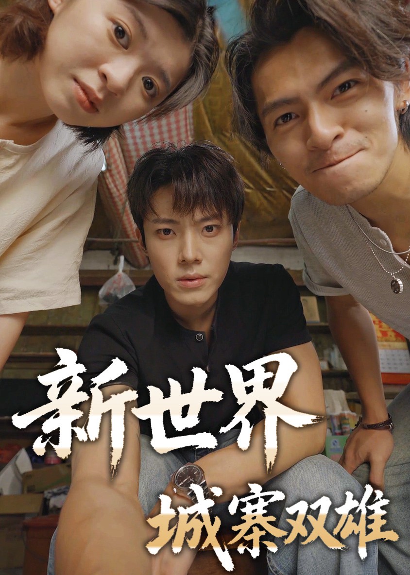 新世界城寨双雄封面图