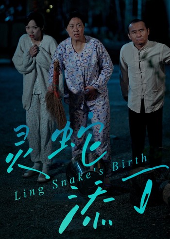 灵蛇添丁封面图