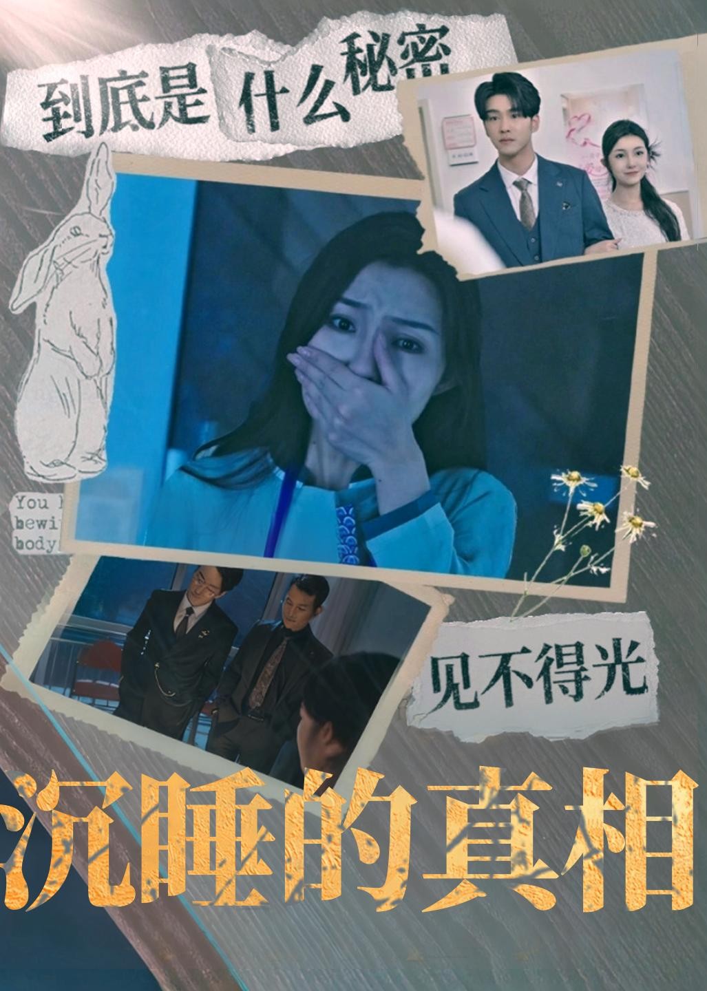 沉睡的真相封面图