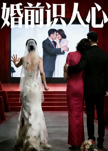 婚前识人心封面图