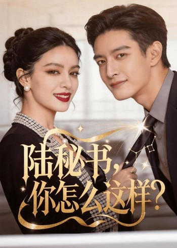 陆秘书你怎么这样封面图