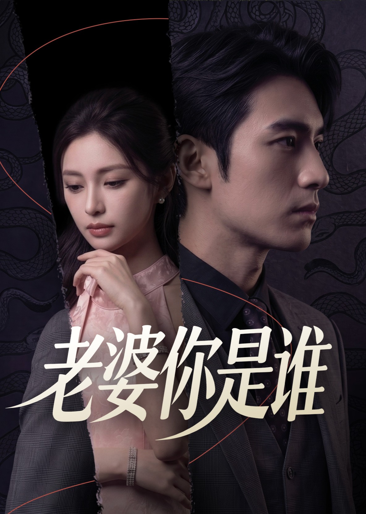 老婆你是谁封面图