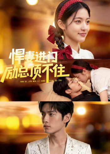悍妻进门励总顶不住封面图