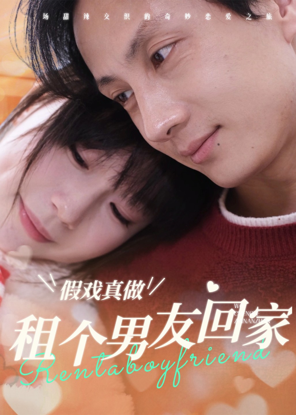 租个男友回家封面图