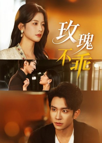 玫瑰不乖封面图