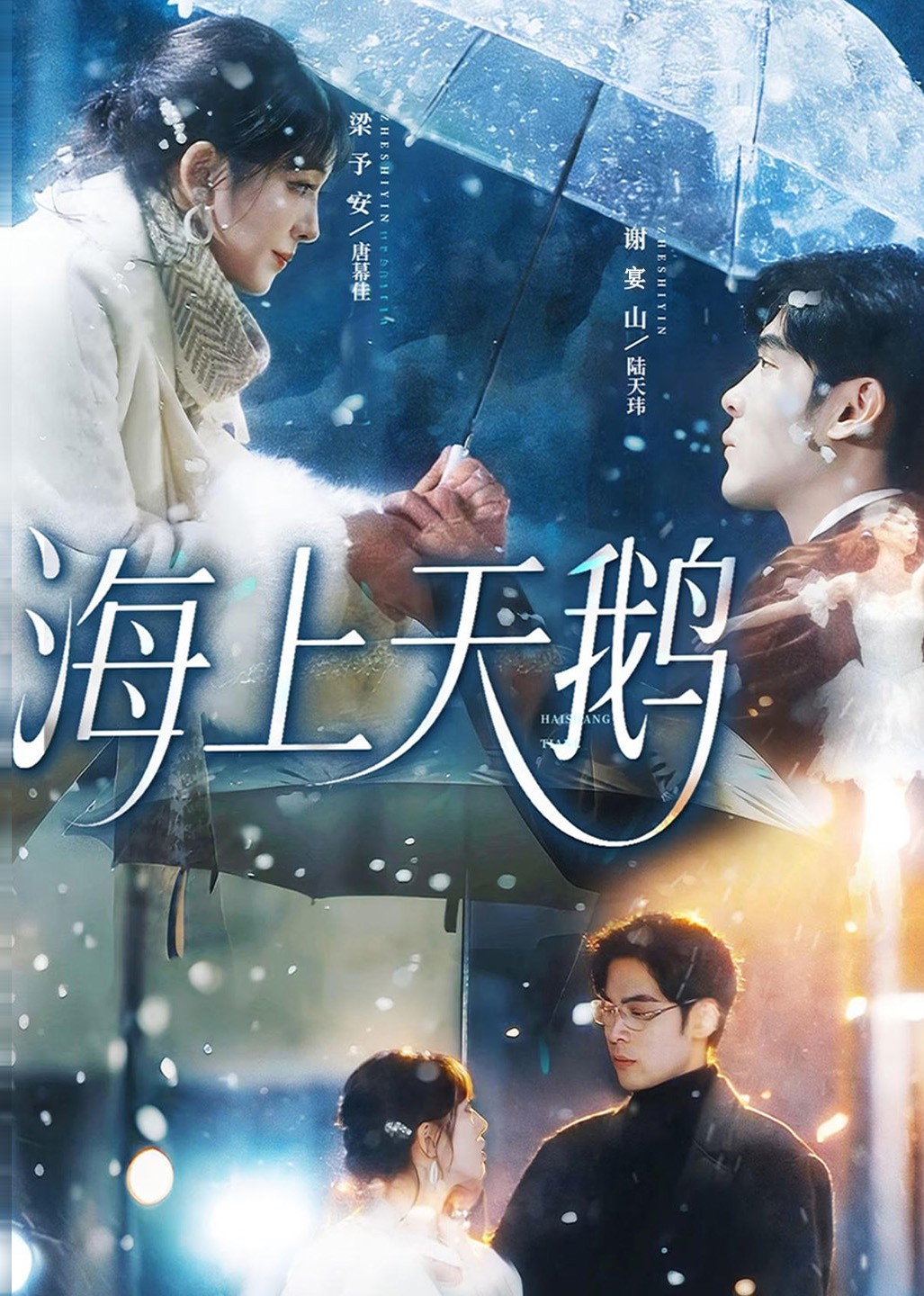 海上天鹅封面图