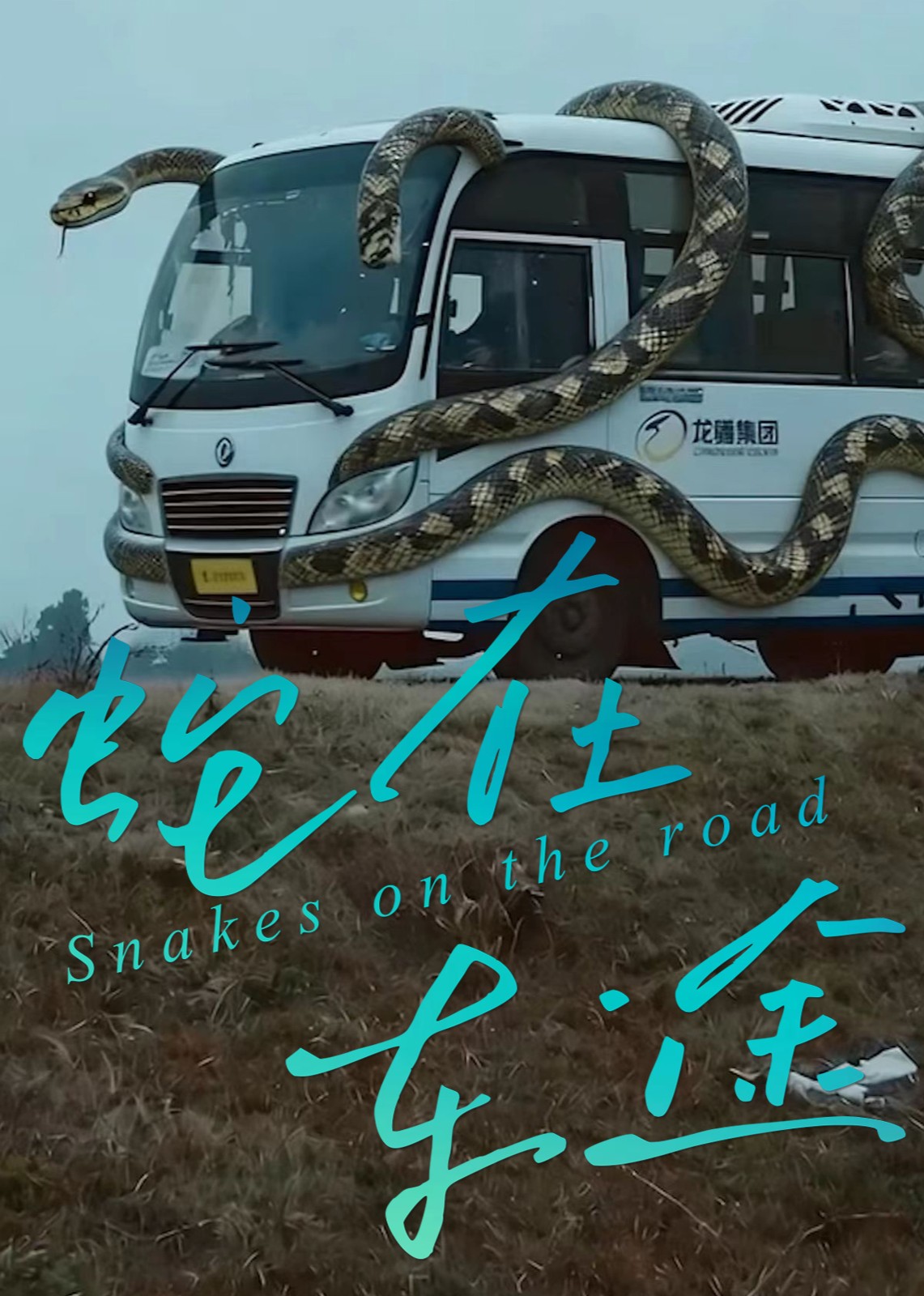 蛇在车途