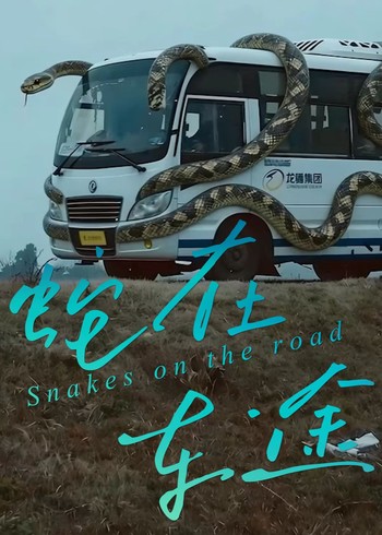 蛇在车途封面图
