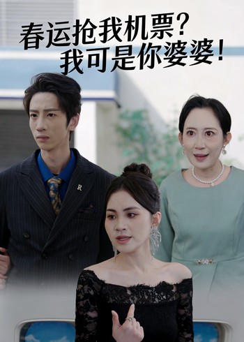 春运抢我机票我可是你婆婆封面图